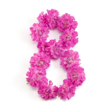 🌷 8 березня